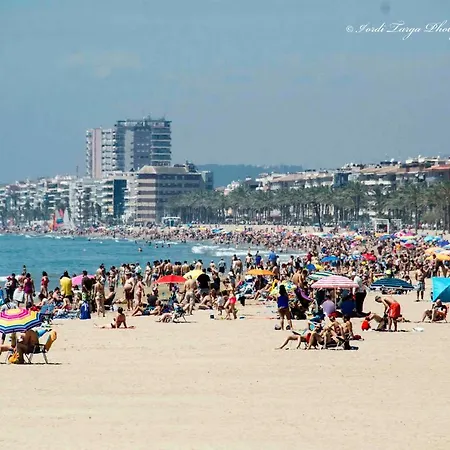 Service - Robles Apartamento Segur de Calafell